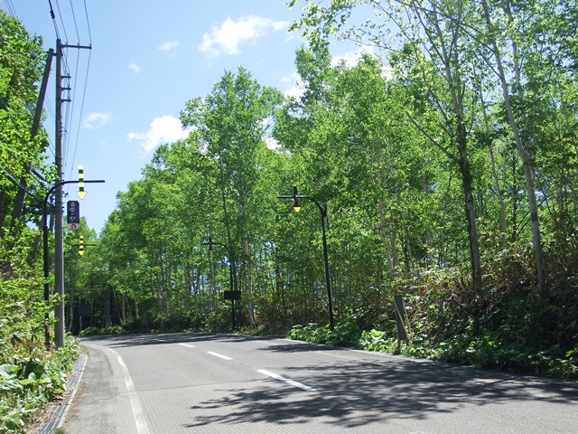 ニセコ不動産(土地)画像51