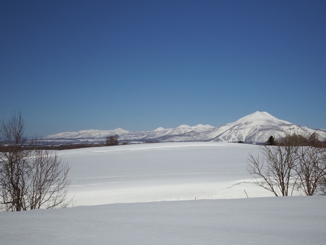ニセコ不動産(土地)画像62