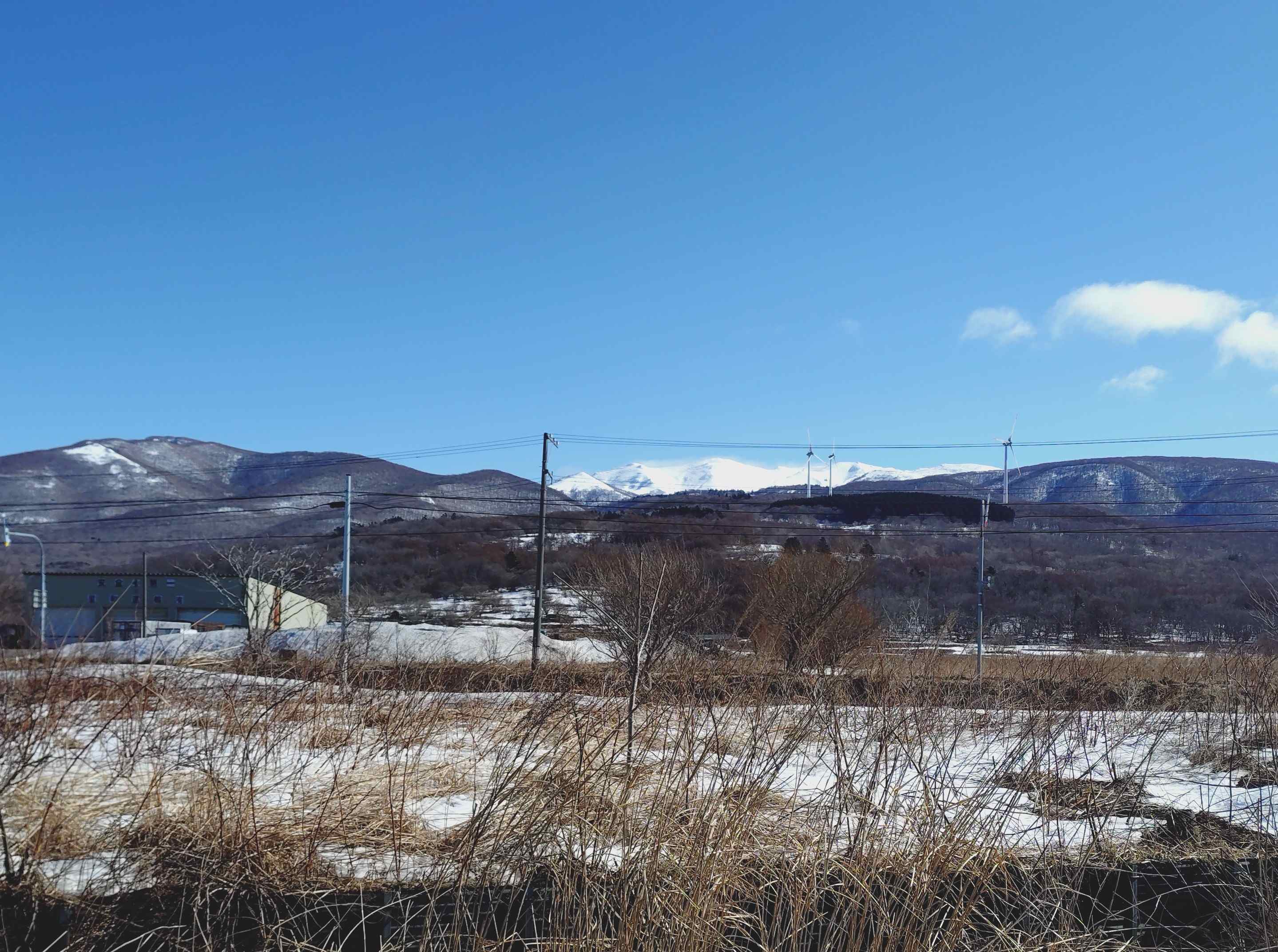 ニセコ不動産（土地）画像４