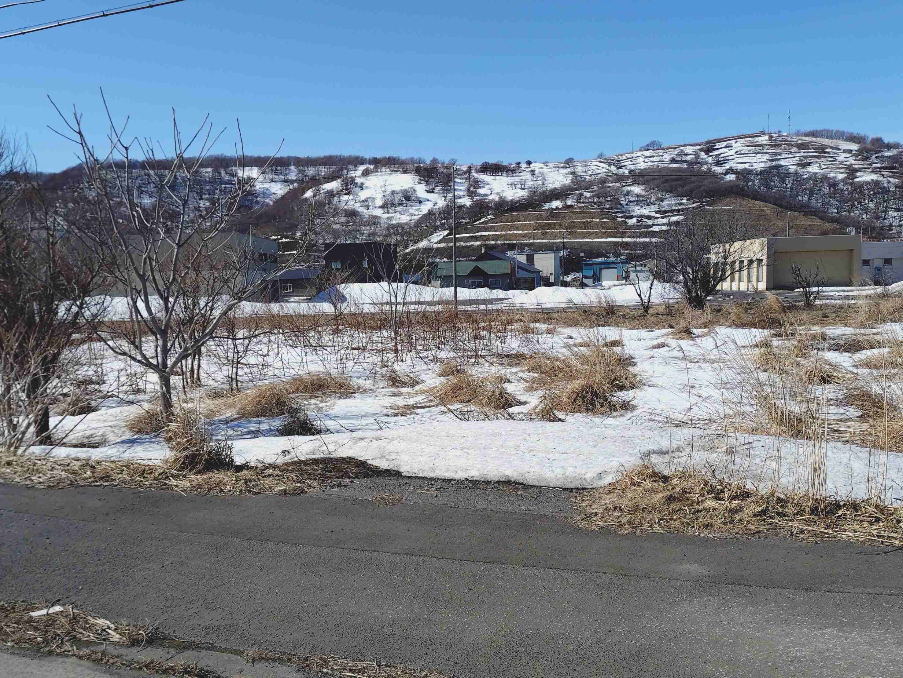 ニセコ不動産（土地）画像２