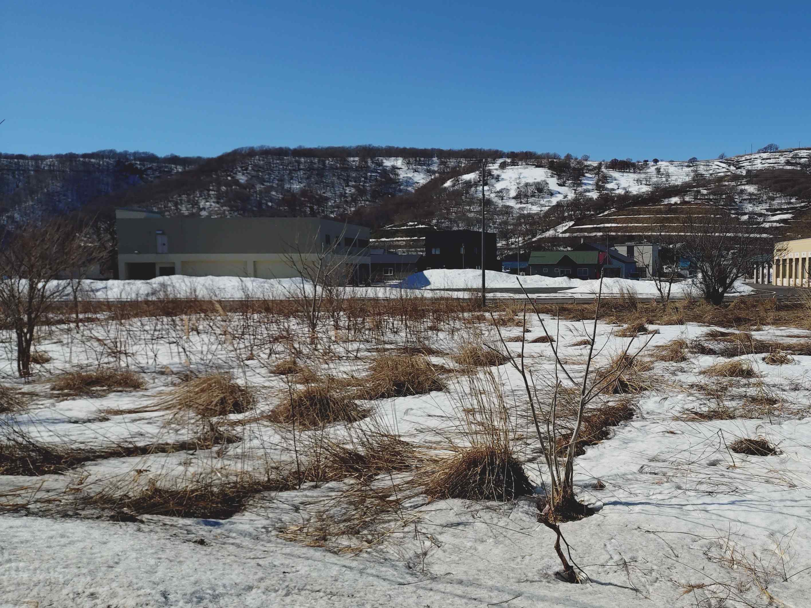 ニセコ不動産（土地）画像３