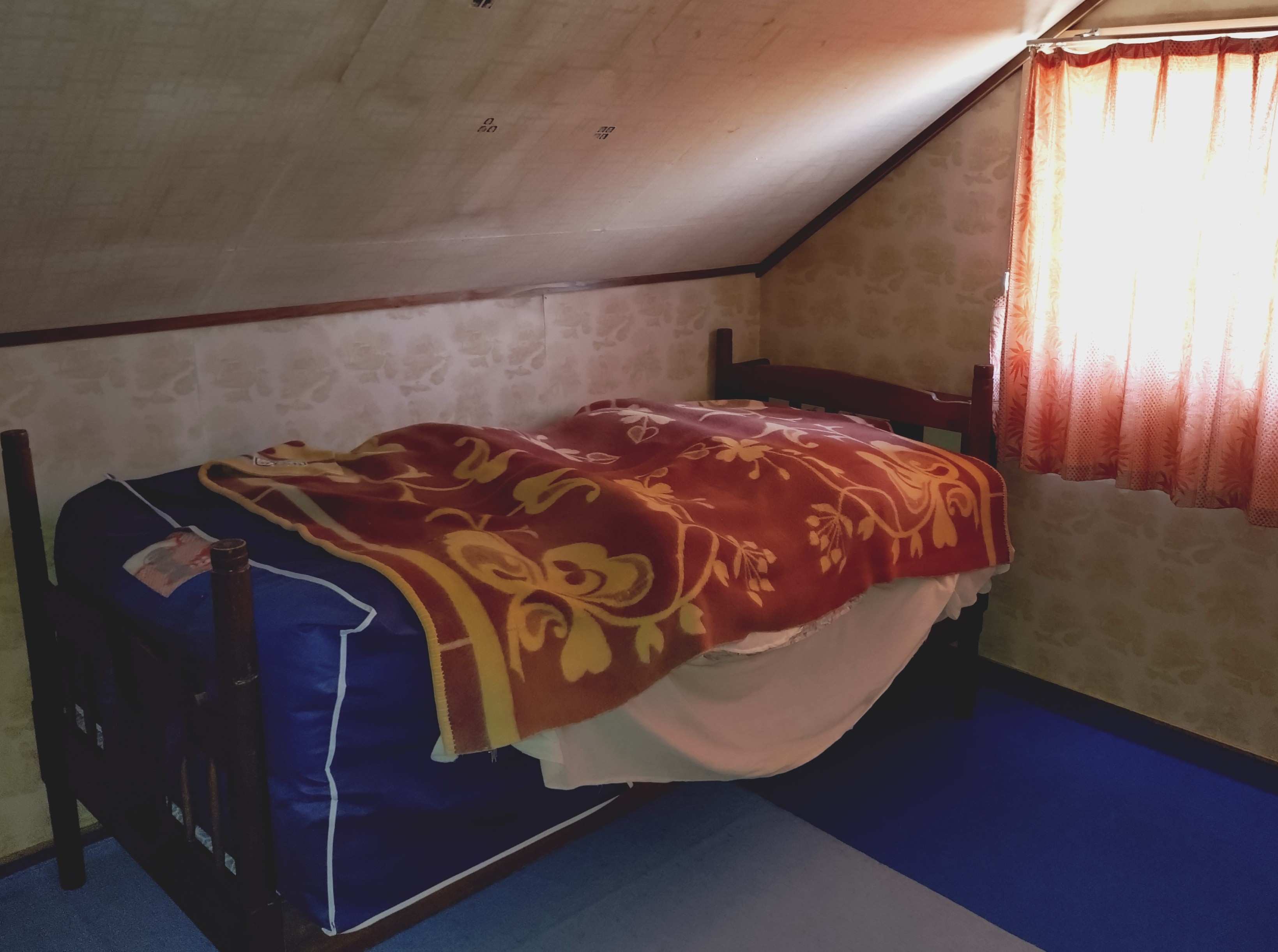 ニセコ不動産（中古物件）画像１４