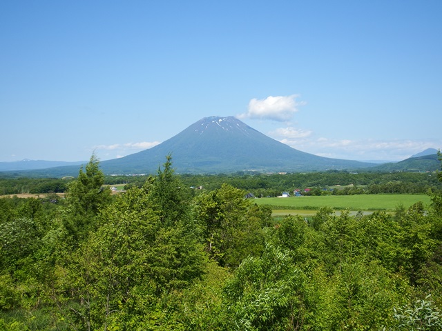 ニセコ不動産（土地）画像１