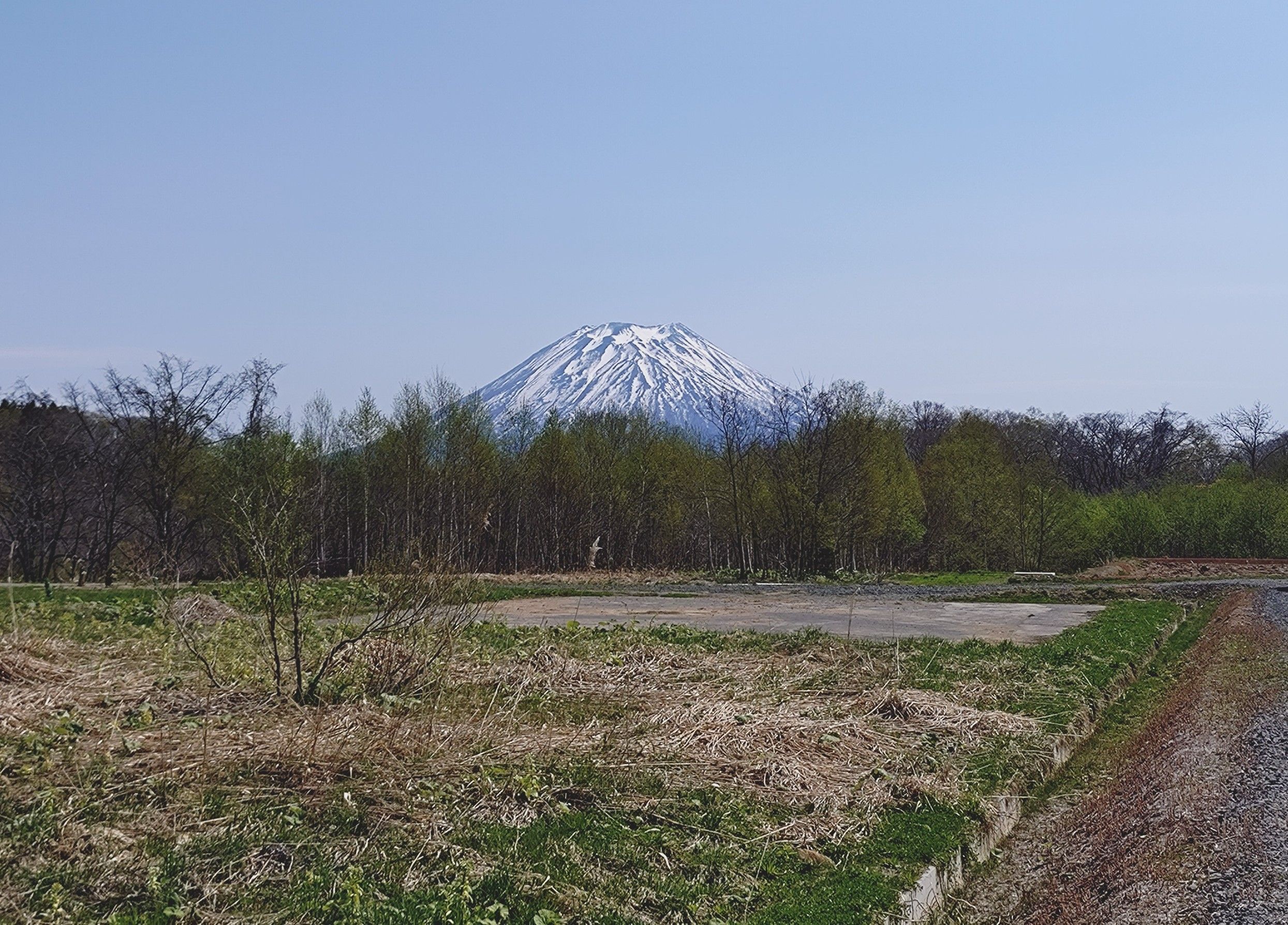 ニセコ不動産(土地)画像113