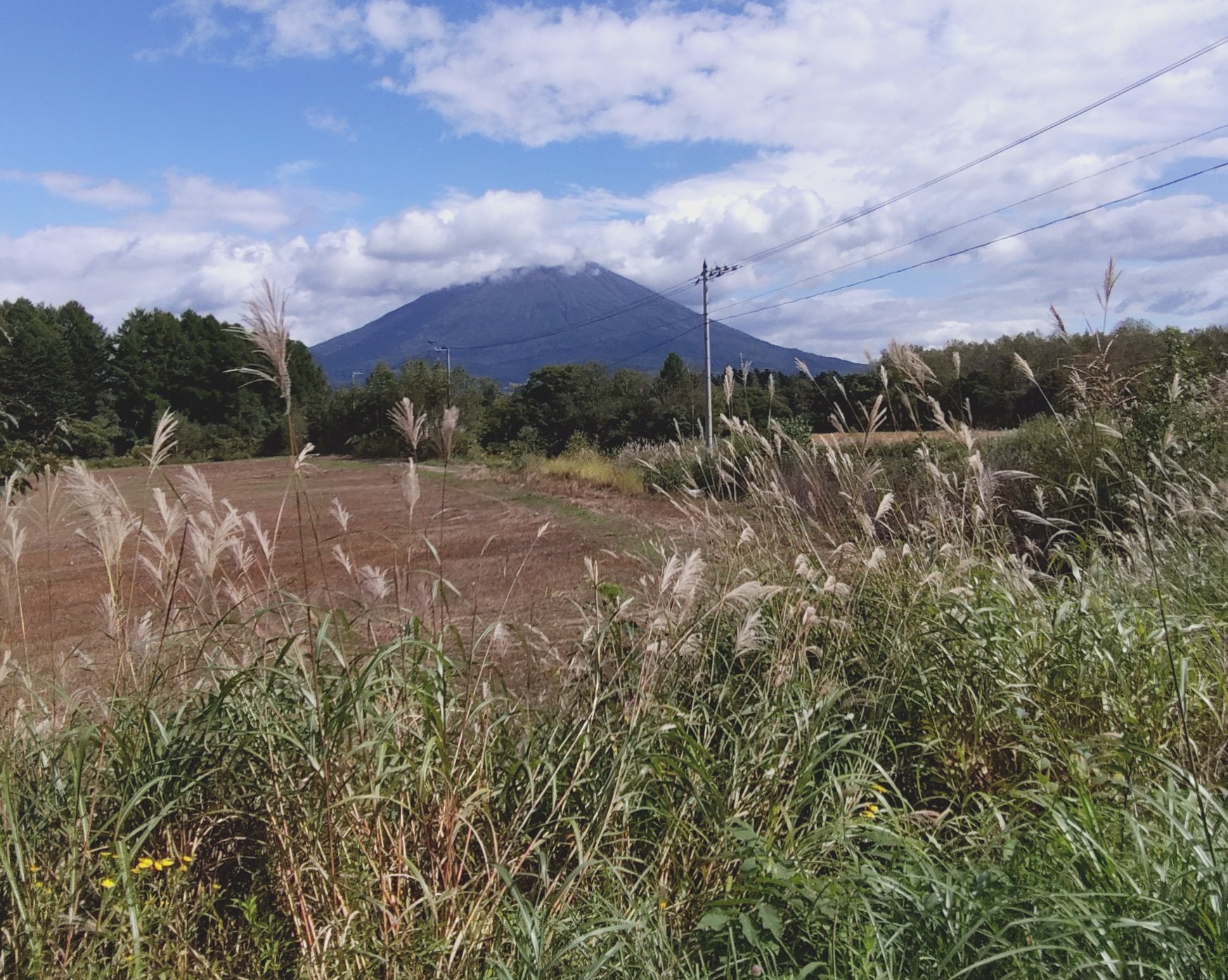 ニセコ不動産（中古物件）画像４