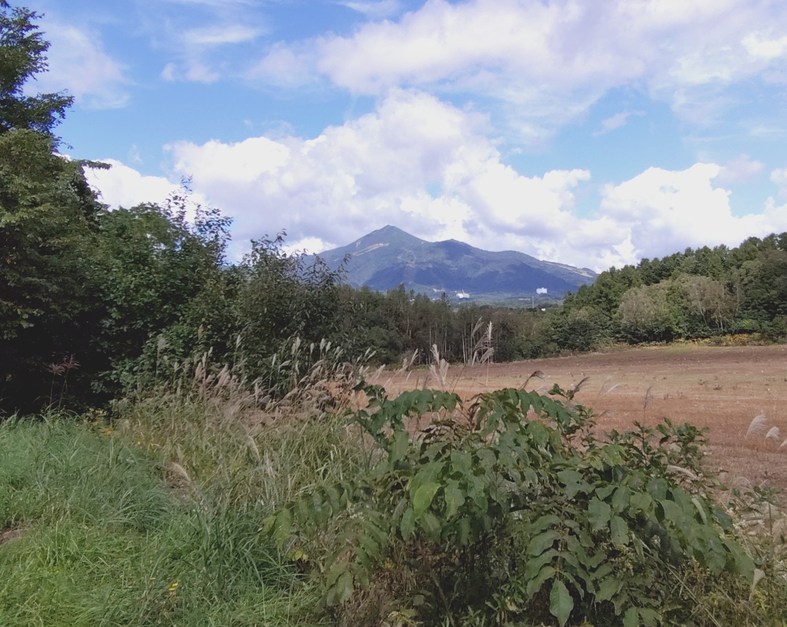 ニセコ不動産（中古物件）画像３